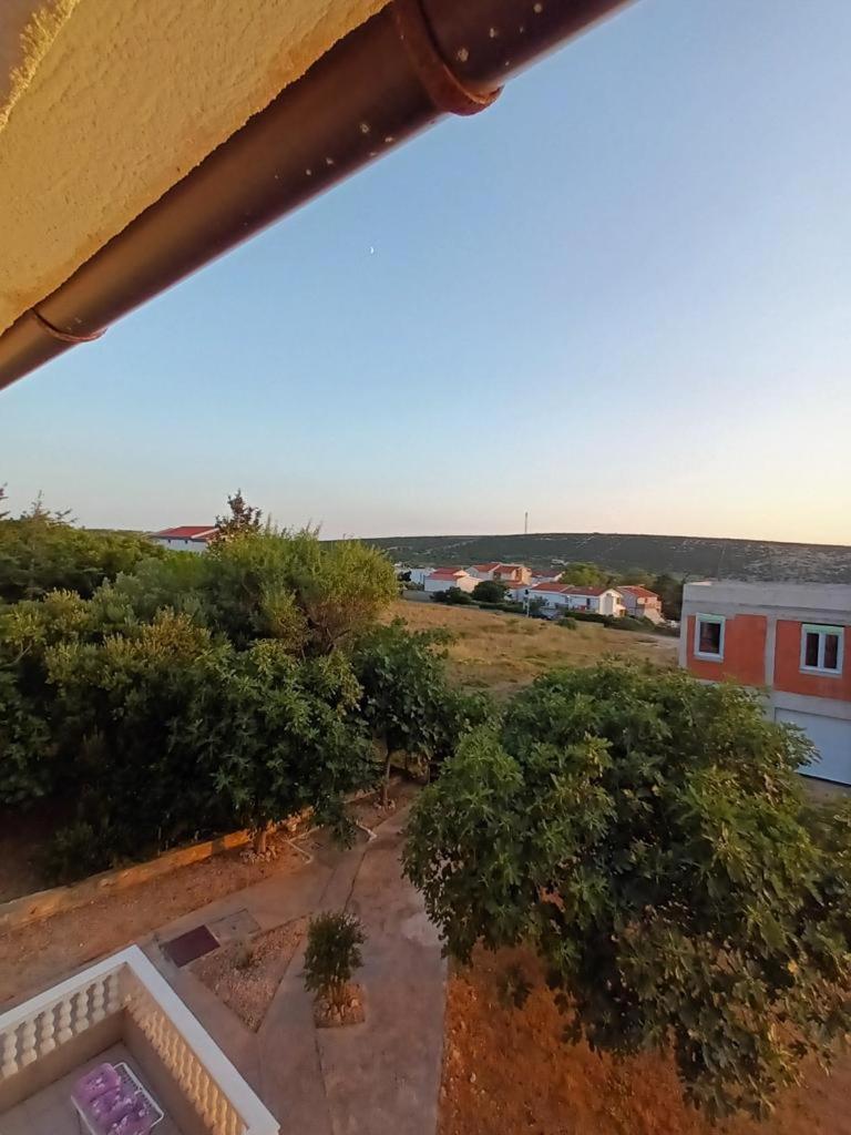 Apartment Vlahek *